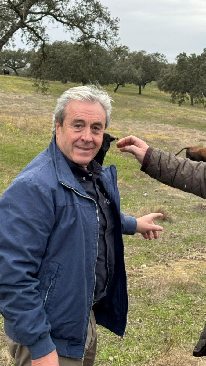 Azpeitiko Zezen Plaza tweet media