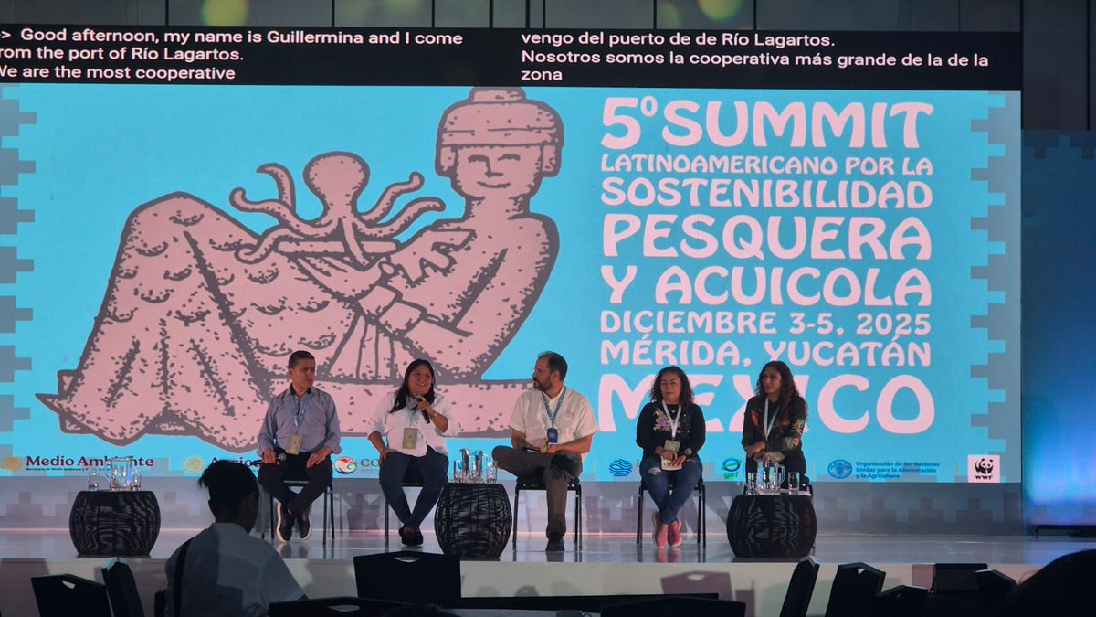 PPD México tweet media