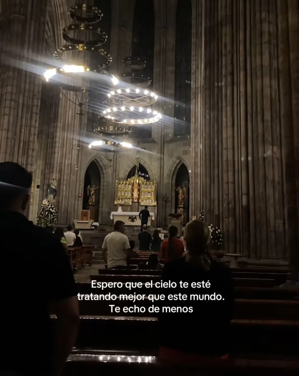 vibesfyp's tweet image. 