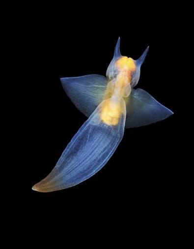 Bit the Hand that Fed Me tweet media