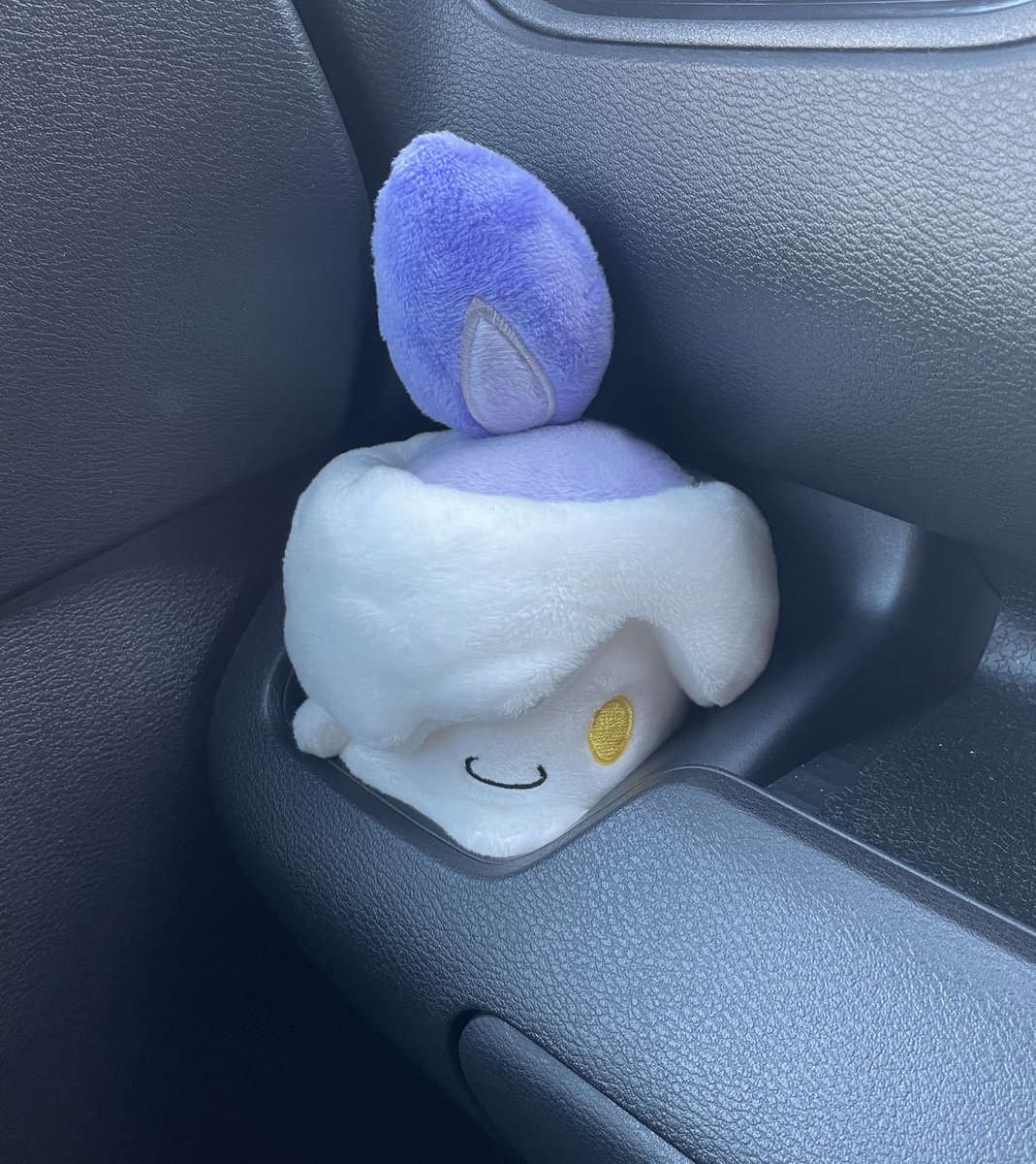 hitomosiri's tweet photo. さむいから連れてきた https://t.co/XBLr7H6Aq9