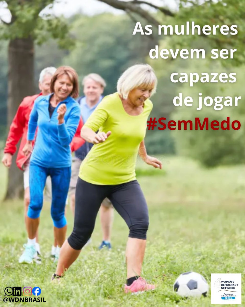 WDN Brasil tweet media