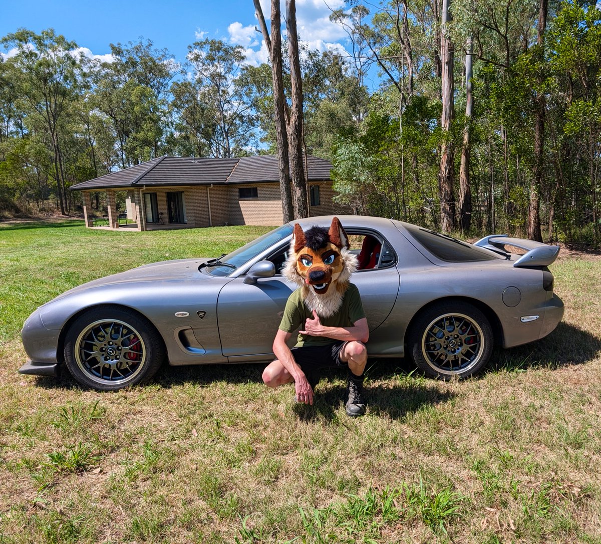 Hugo Shep 🐾 tweet media