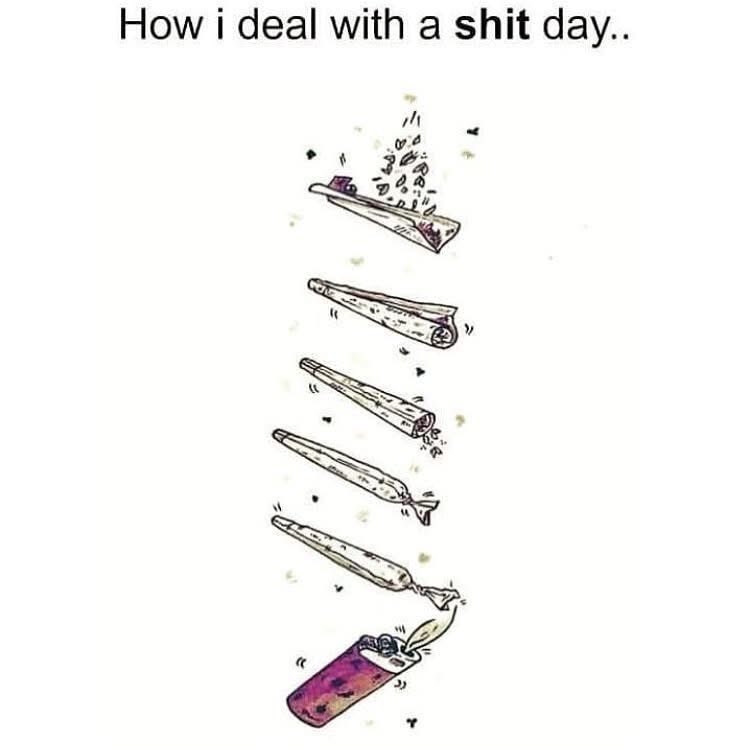 💨🍃 (@highassthinking) on Twitter photo 