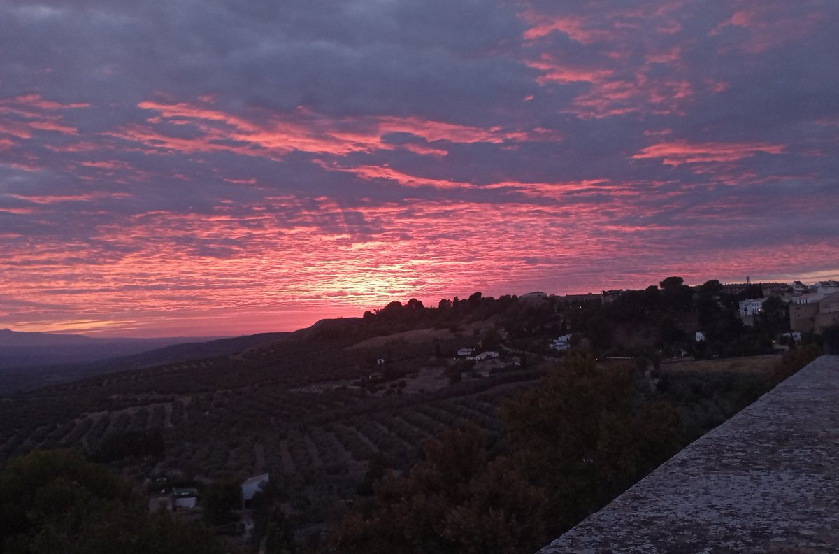 martabm1998's tweet photo. En este atardecer https://t.co/qYAXuuyHVq