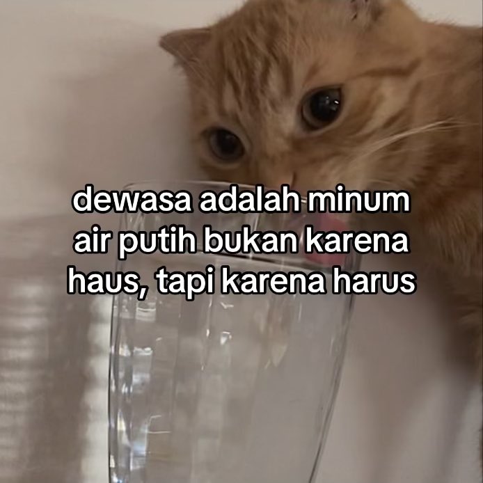 dewirahmat_'s tweet image. 