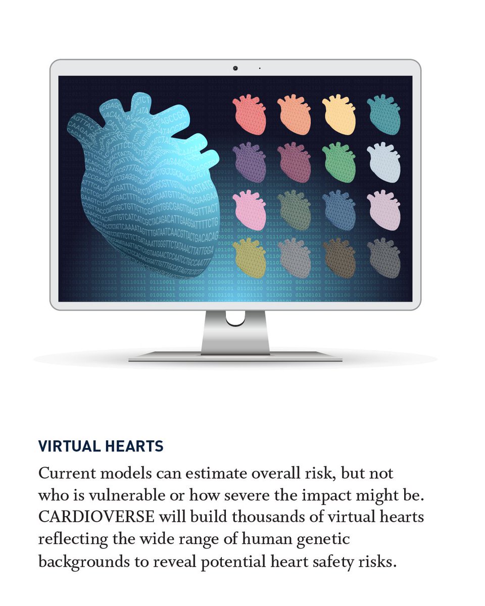 jacksonlab's tweet image. #CARDIOVERSE: JAX researchers are combining AI, stem cells &amp;amp; genetic variation to predict drug safety before human trials.  go.jax.org/cardioverse