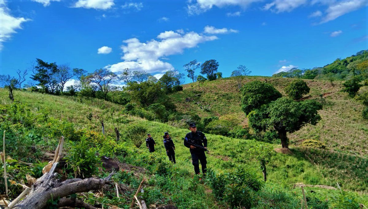 Diario El Salvador tweet media