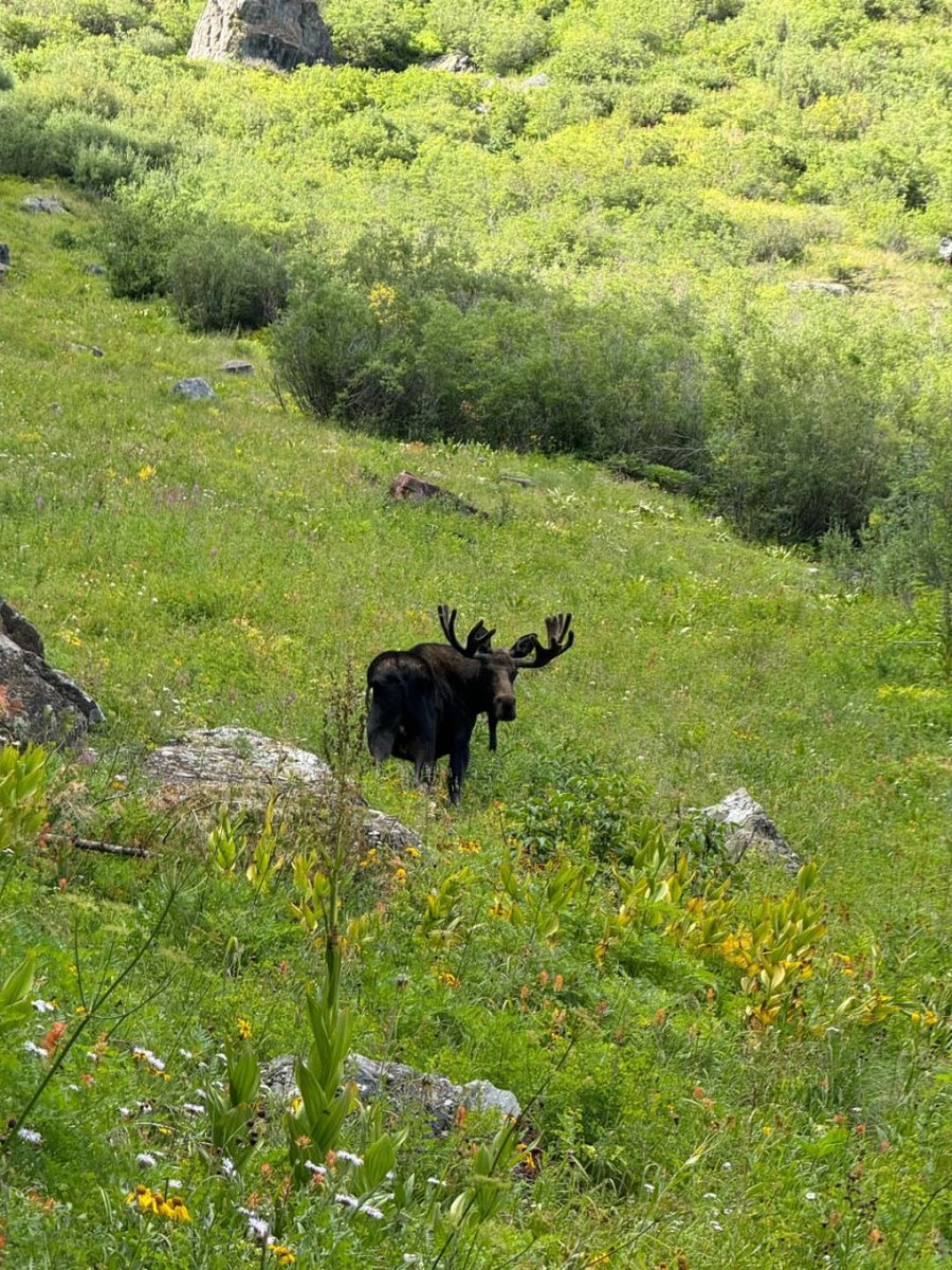 santhoshisun's tweet image. #Friendship #DailyThoughts #HelloWorld