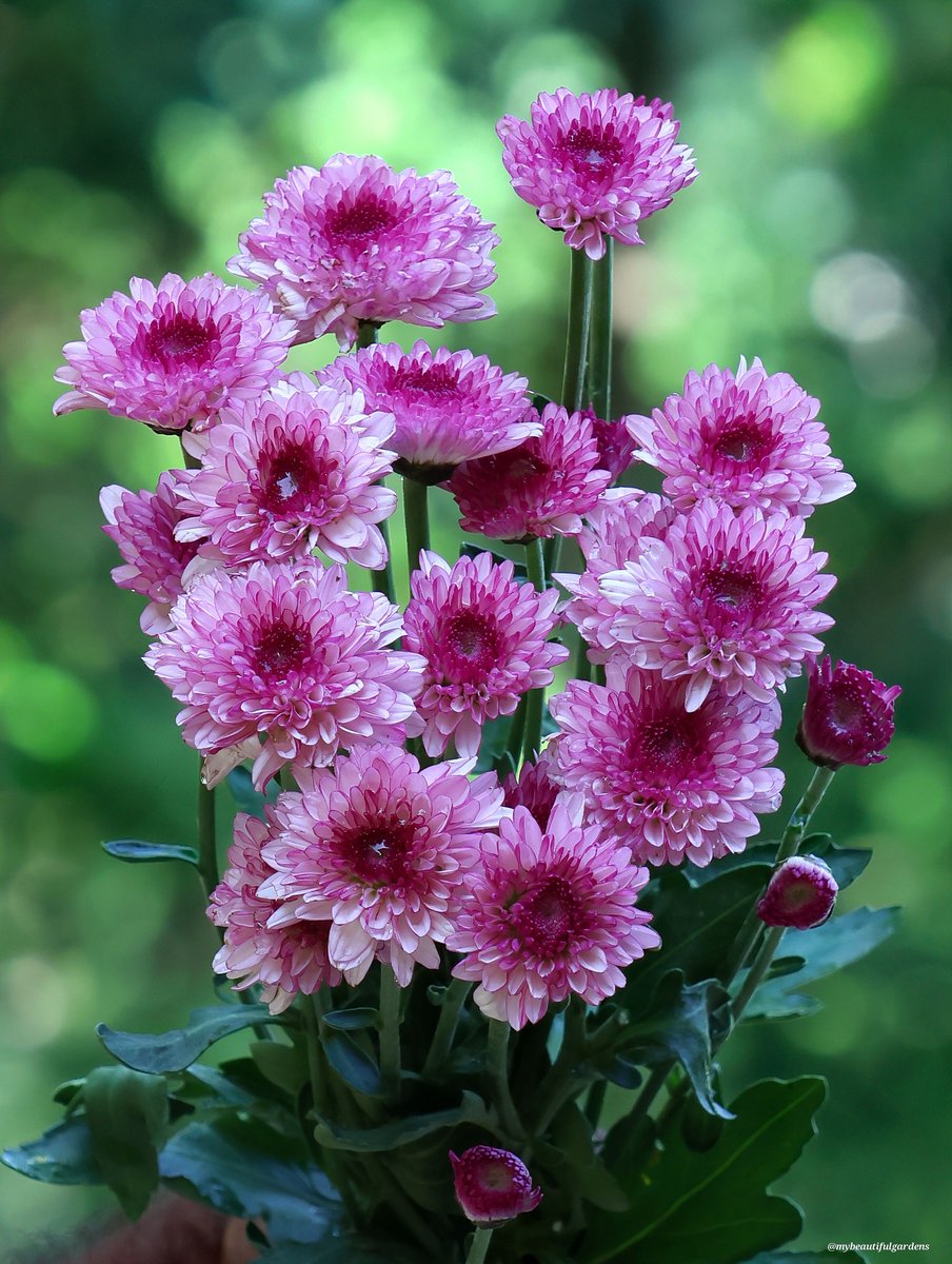 puza84's tweet image. #Friendship #DailyThoughts #HelloWorld