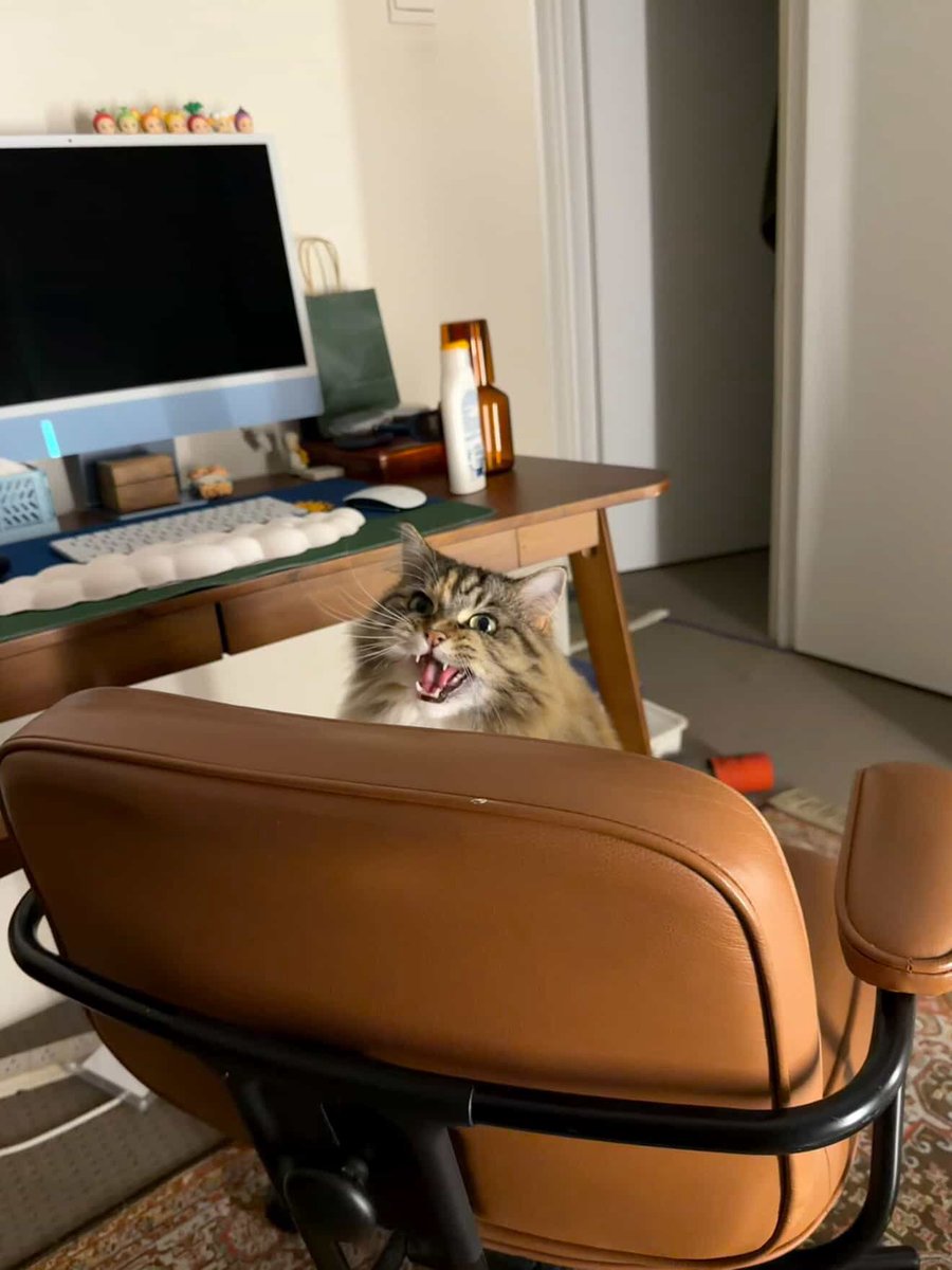 I’m so scared of her