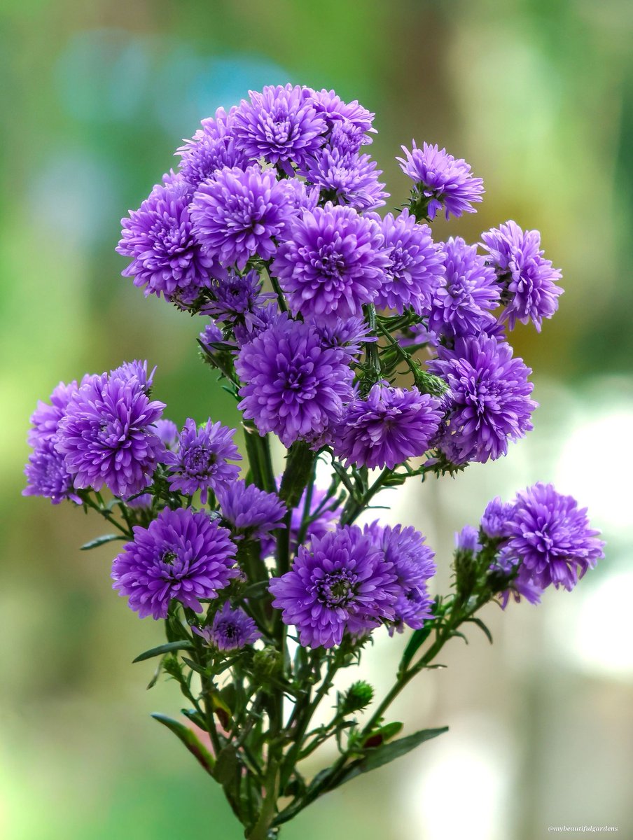 v4So9ixvGiYJtrl's tweet image. #Friendship #DailyThoughts #HelloWorld