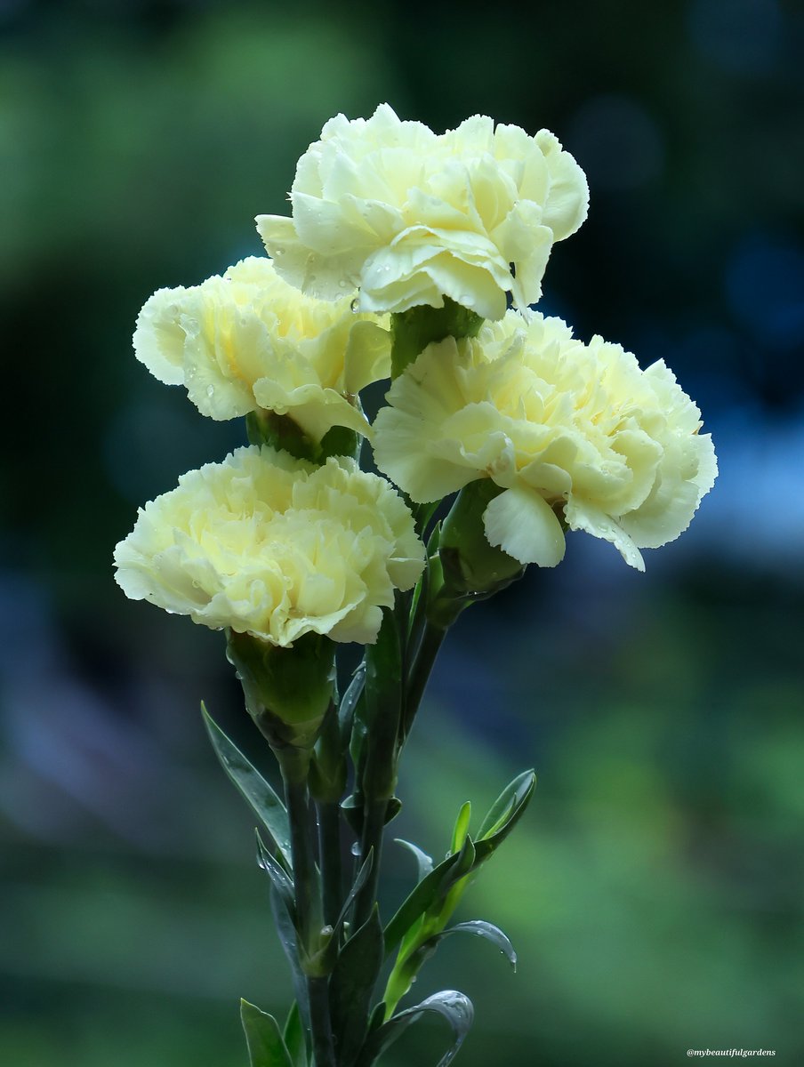 kakakaz92's tweet image. #Friendship #DailyThoughts #HelloWorld