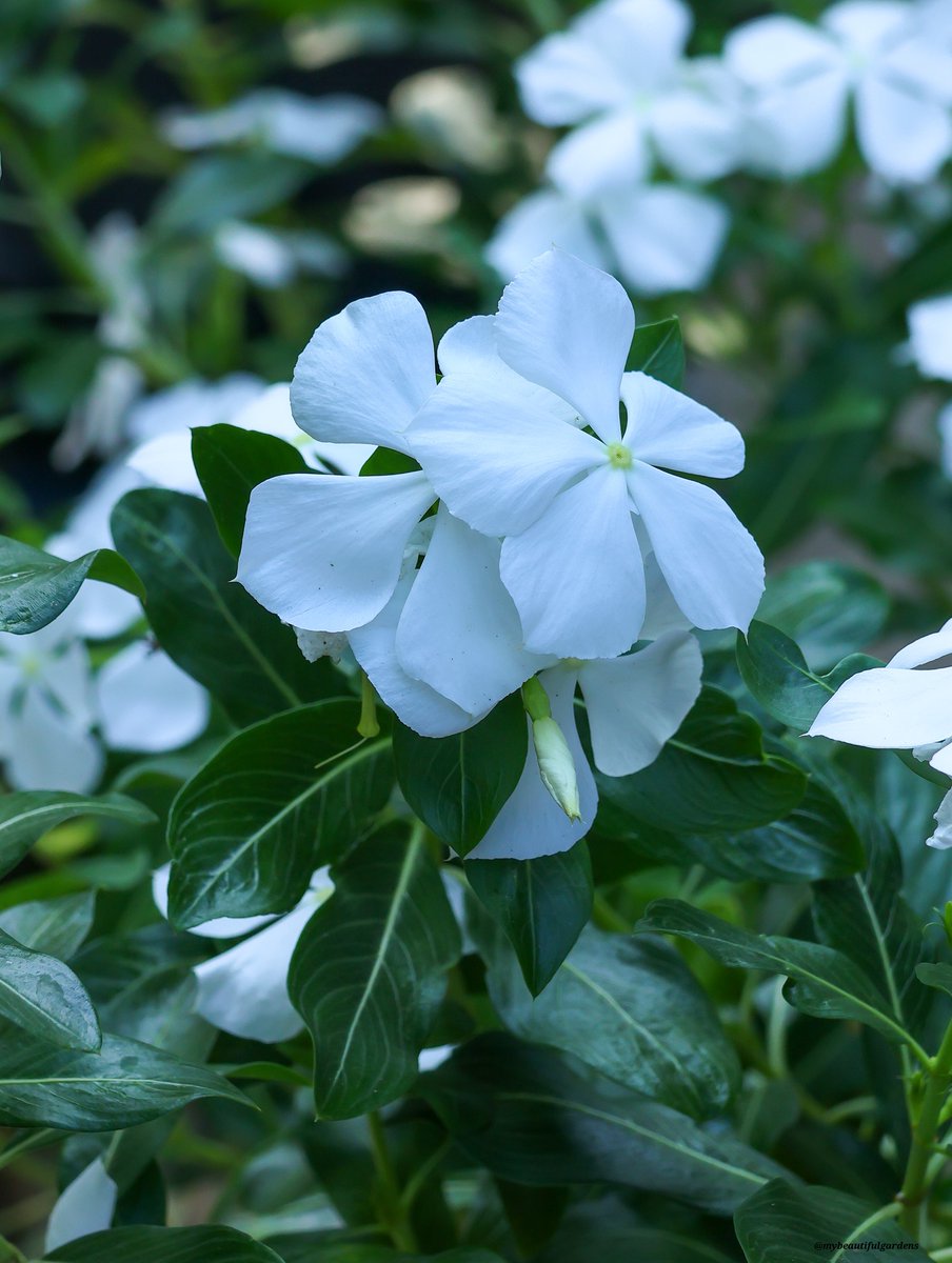 Dede_Einers's tweet image. #Friendship #DailyThoughts #HelloWorld