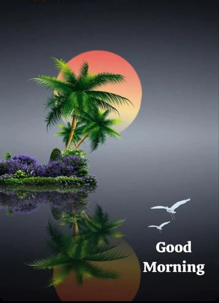 VEERENDRA MEENA tweet media