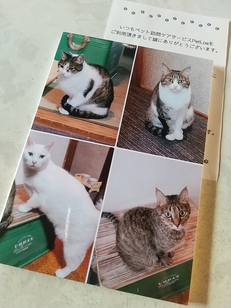 めぐりんページ めぐりん (@meg_azumino) / Posts / X