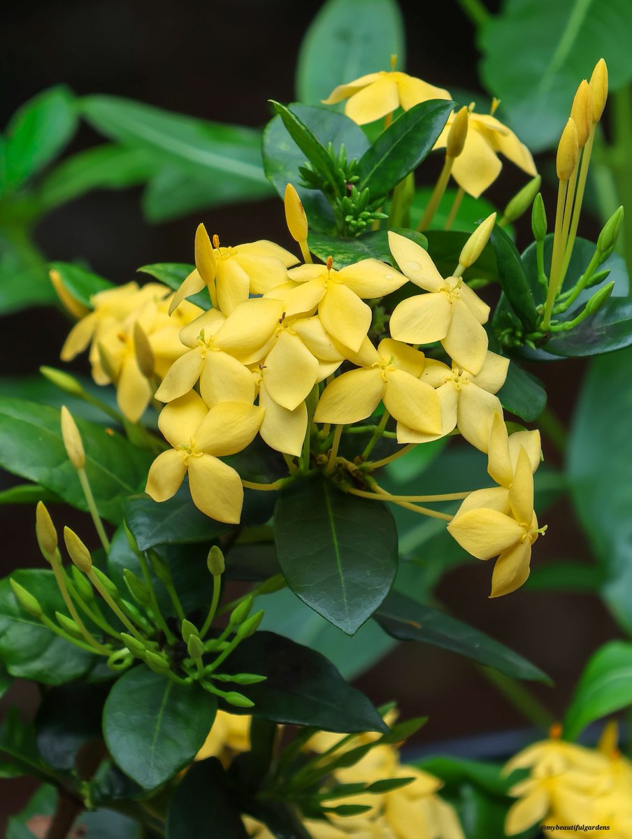 MohmmadSuzon's tweet image. #Friendship #DailyThoughts #HelloWorld