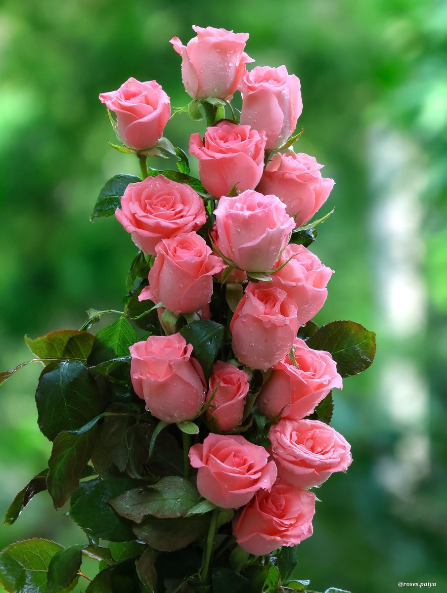 VnQtaYnLY2s3pxK's tweet image. #Friendship #DailyThoughts #HelloWorld