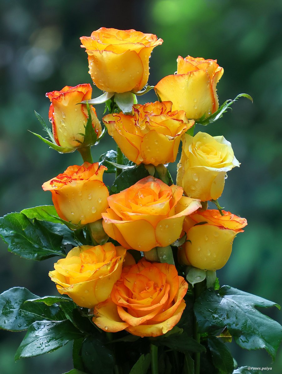 azam15984336's tweet image. #Friendship #DailyThoughts #HelloWorld