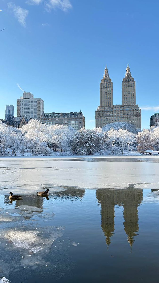 MaccarthyAlbert's tweet image. #Friendship #DailyThoughts #HelloWorld