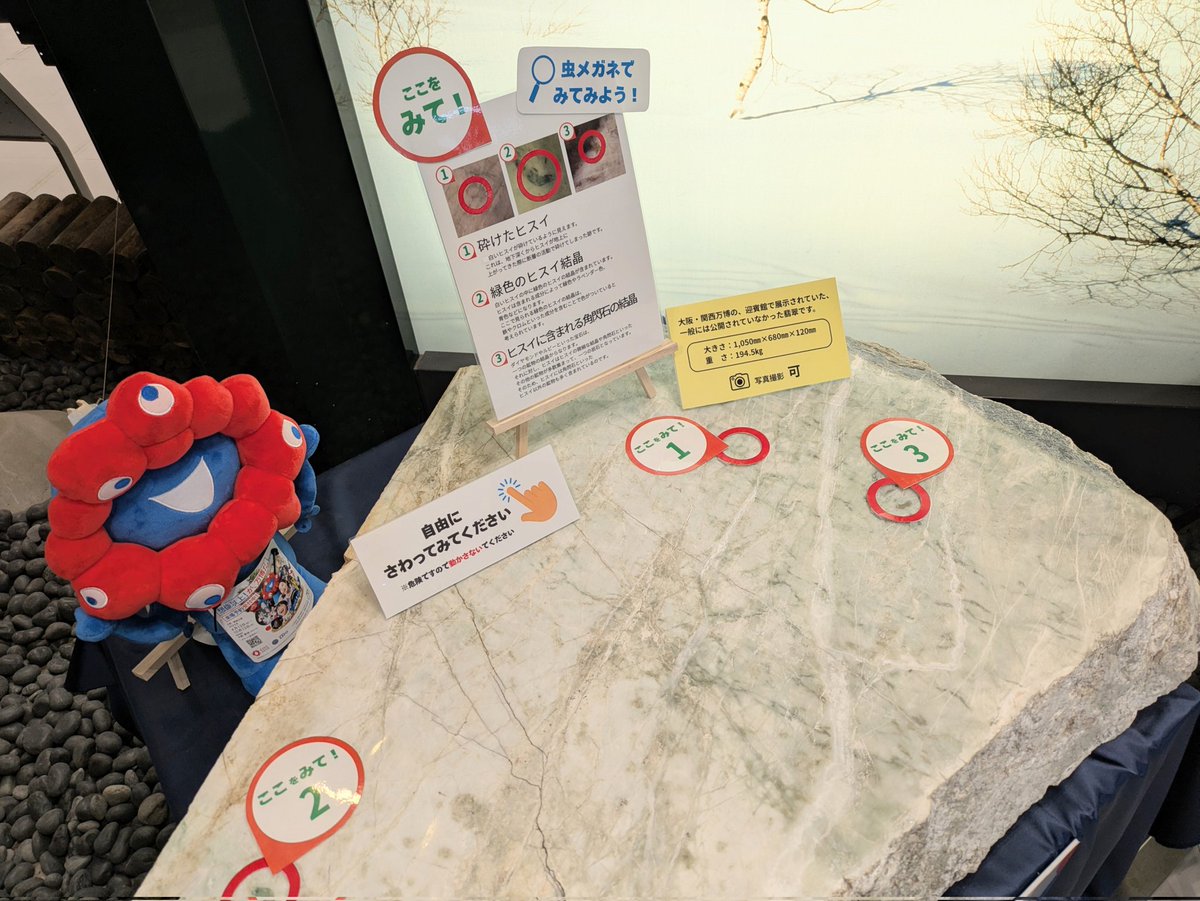大阪・関西万博で展示された糸魚川の翡翠が、新潟市西区にある新潟