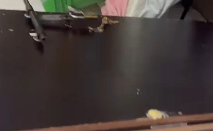 «الأمن الجنائي» يُداهم «الوكر الأسود» ويُحرر 25 متغيباً ومتغيبة 