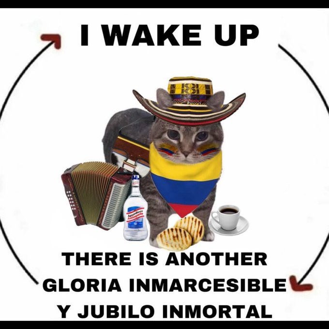 Giancarlo tweet media