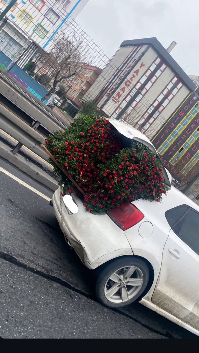 Arkadaşım kız arkadaşının evine bi bagaj dolusu kokina götürdü.. bazı kızlar çok şanslı