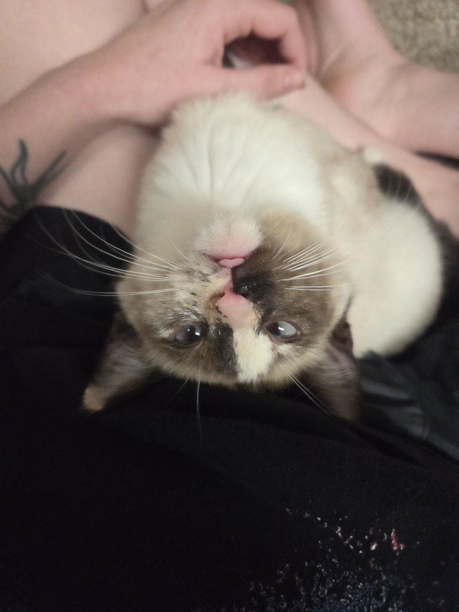 codeinesneeze's tweet image. breaking my word one more time just to post this specifically because i'm fucking obsessed with this photo i just got of her oh my fucking god. angel of small death and the codeine scene are you aware i will die for you