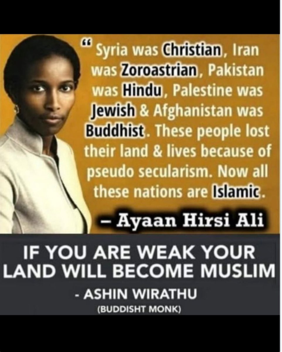 ElaineLarsen2's tweet image. A.