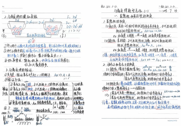 bindra079's tweet photo. 喜提XX证书/通过XX考试！备考的每一份坚持都没白费，继续加油 https://t.co/yXSLfsUHzE