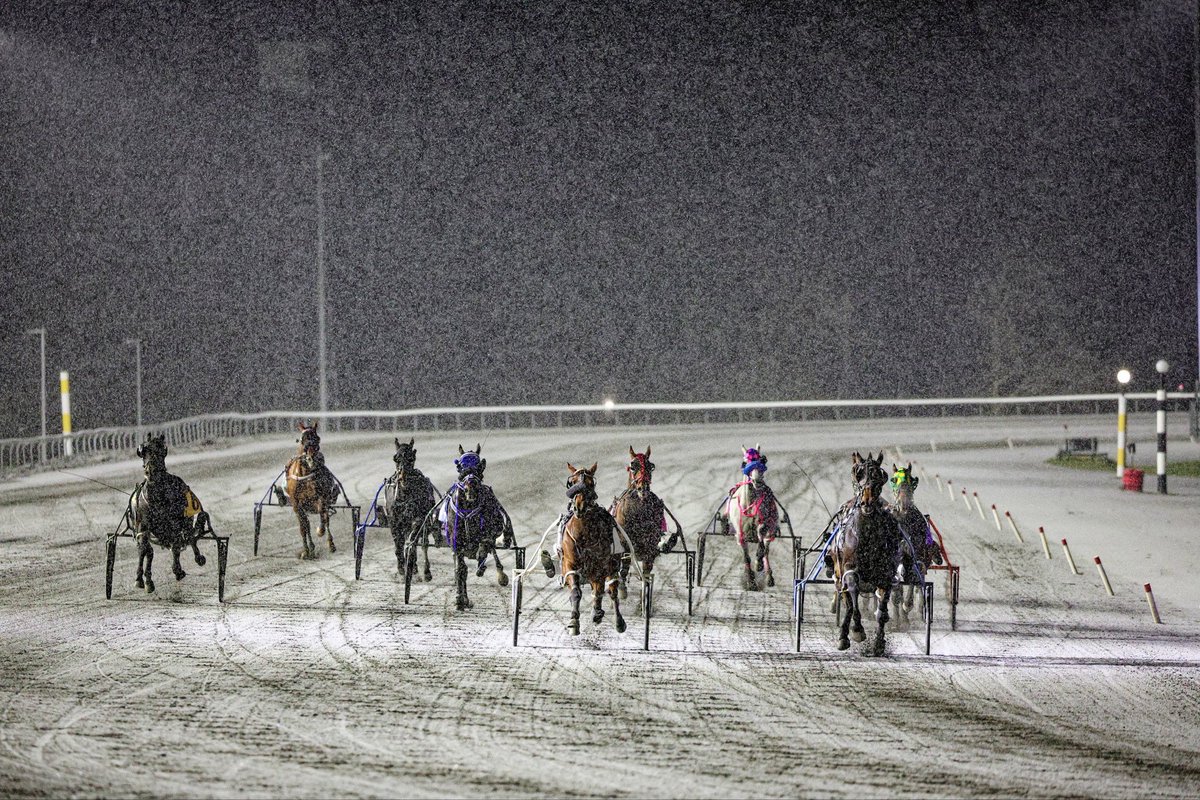 Opportunities await horseplayers throughout Christmas Week <a href="/WoodbineSB/">Woodbine Mohawk Park</a>!

Jackpot Hi-5 Mandatory Payout now set for Saturday (December 27).

🔗| woodbine.com/mohawk/mohawk-…