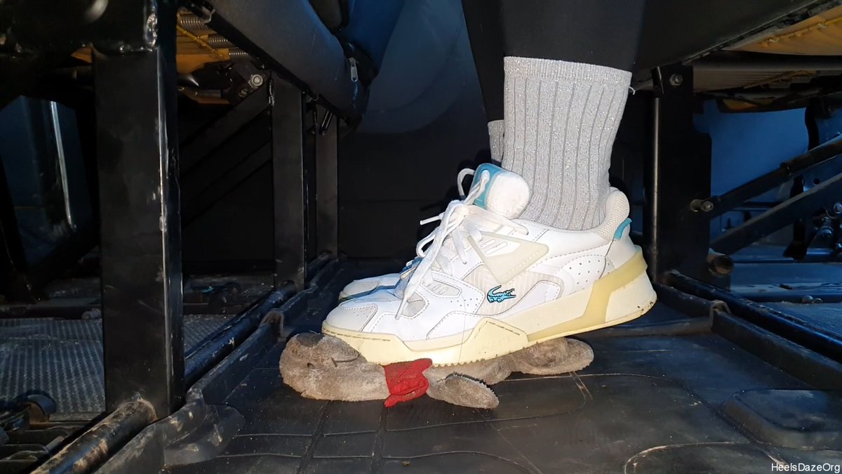 HeelsDazeOrg tweet media