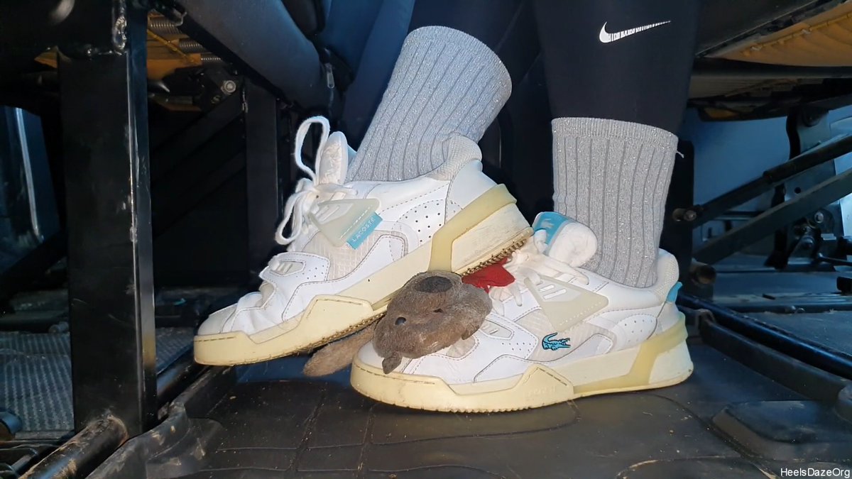 HeelsDazeOrg tweet media