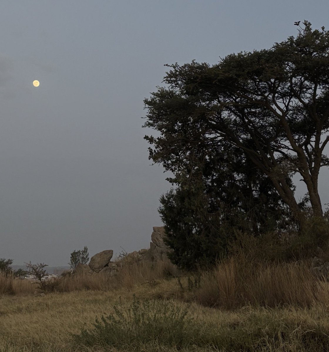 _2llii__'s tweet image. 