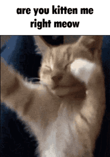 MuigiMui's tweet image. Tank insta locks ball…