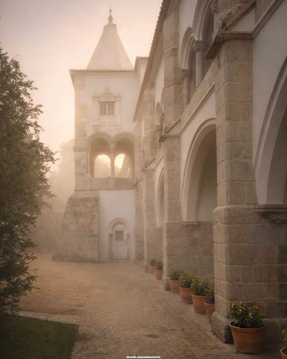 Random Pics tweet media