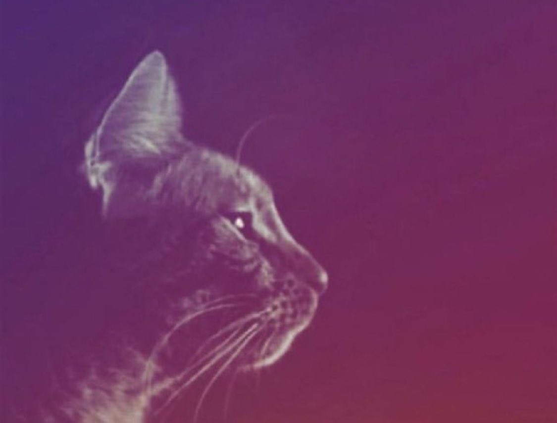 andres_pinot's tweet image. que hice estos 12 meses