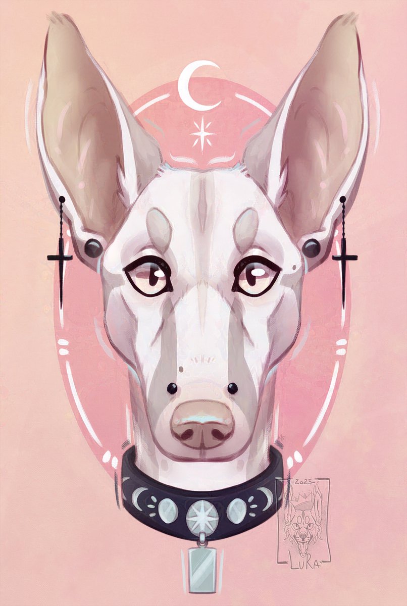 Lura Harenose | 🔗's in caard tweet media