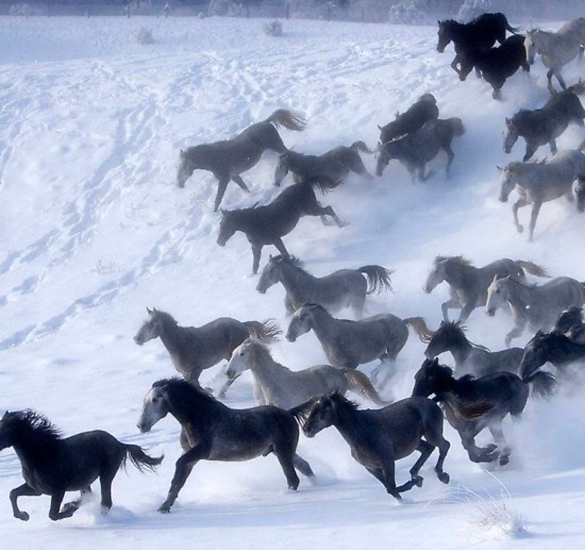 poetical photos. (@poeticalphotos) on Twitter photo 