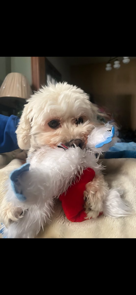 Nebraska Quakes - Ruvalcaba 10U tweet media