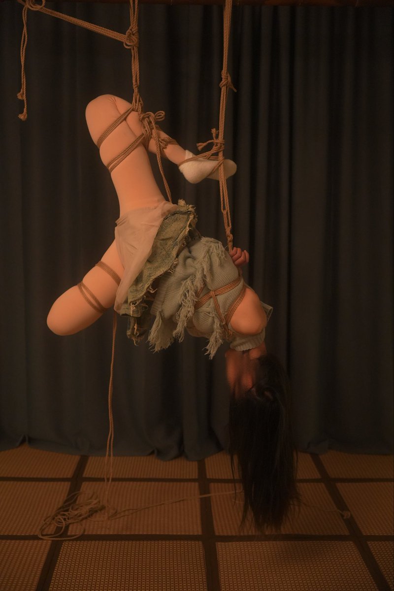 又眠Autumn tweet media