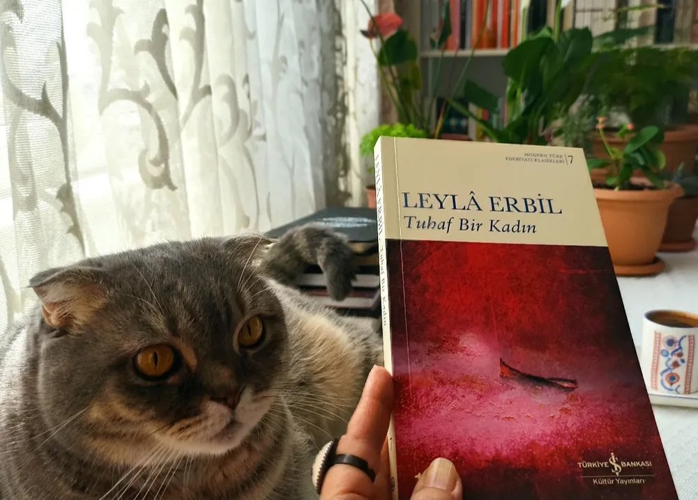 Okuduklarımın hemen hepsini  sevdim ama yabancı eser olarak Yukio Mişima'nın "Bereket Denizi" serisi,yerli eser olarak Leyla Erbil 'in "Tuhaf Bir Kadın"ı en iyilerdi. Mişima'nın çevirmeni Püren Özgören'i de tebrik etmek isterim."Genç Mungo","Sütçü","Yürekteki Hayvan"ı da anayım.