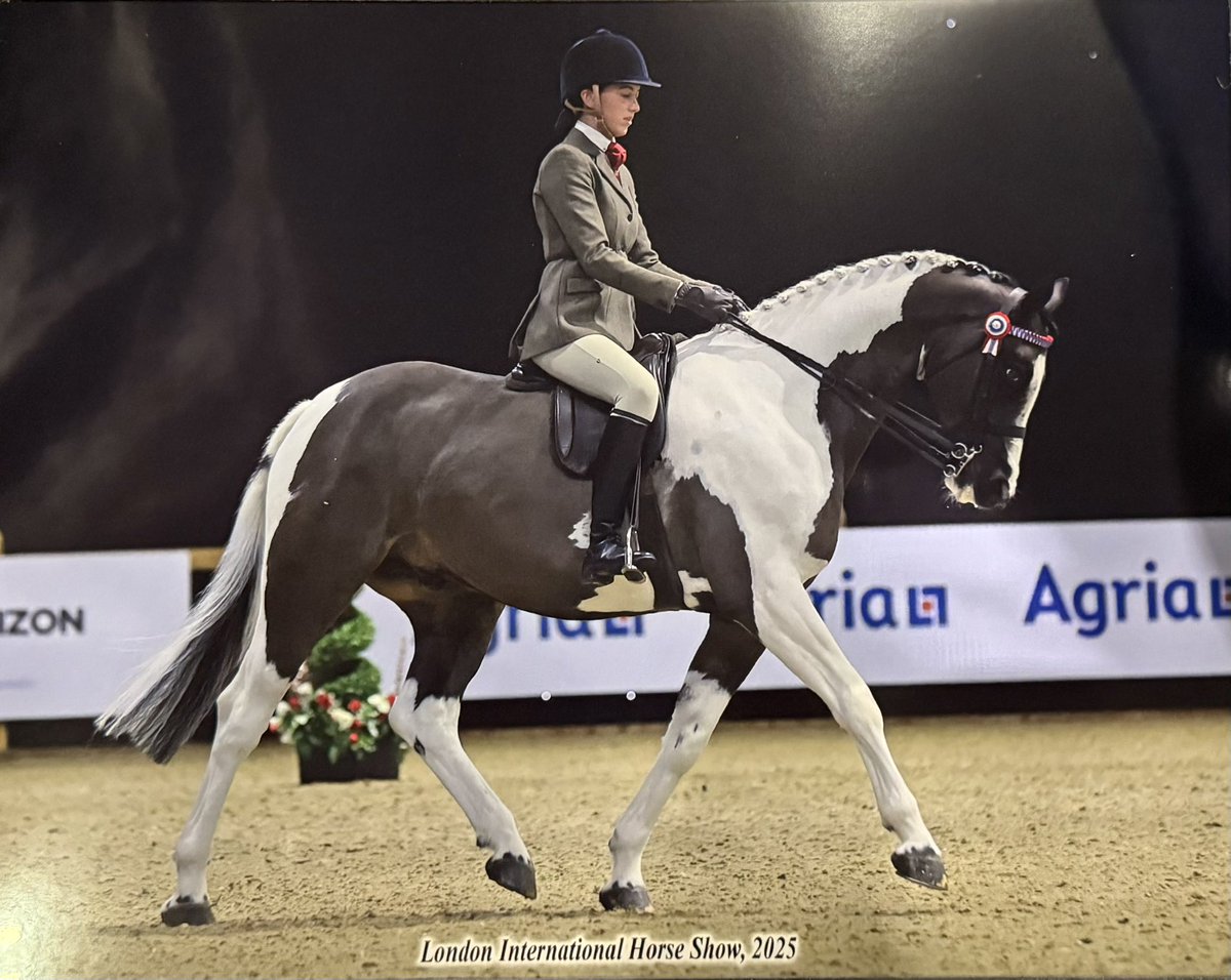 Grant Tuer Racing tweet media