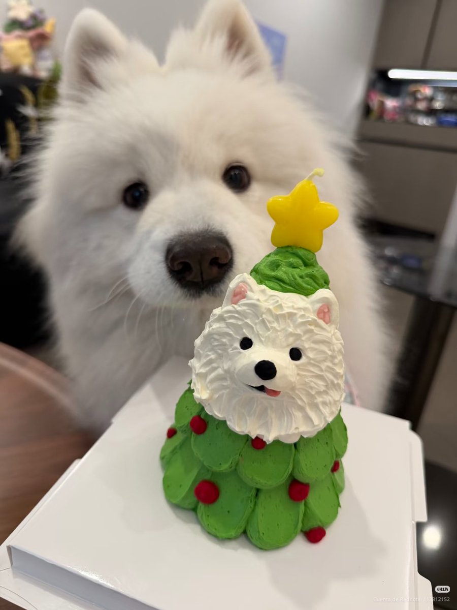 dailypxst's tweet image. 