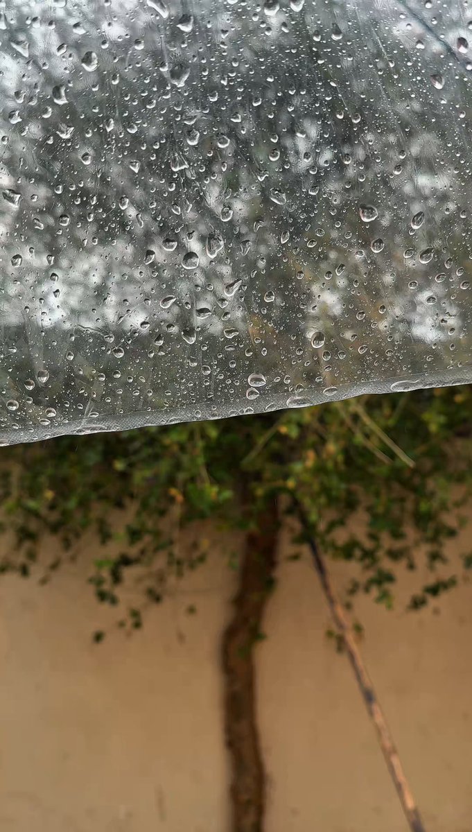 vlcex0's tweet photo. شتاء☔️🤍 https://t.co/s4OF4KrNRQ