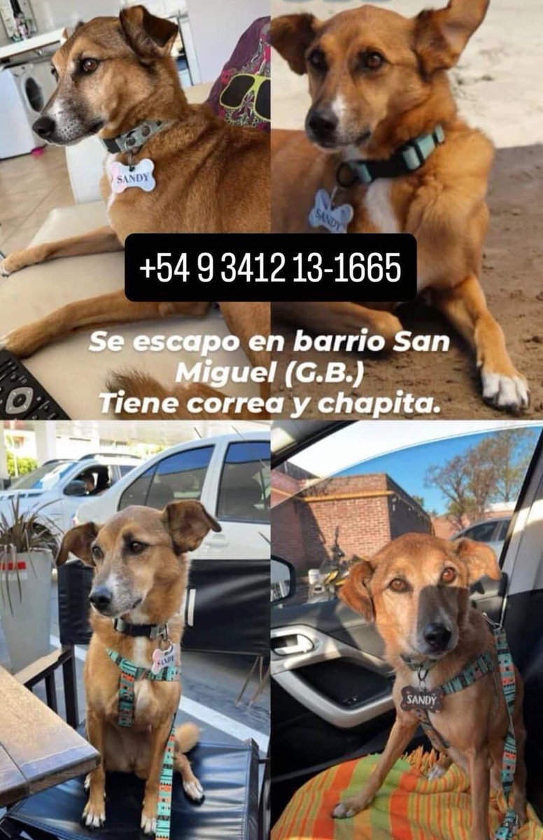 Ayuda Twitter 
Buscan a SANDY
Gracias x compartir