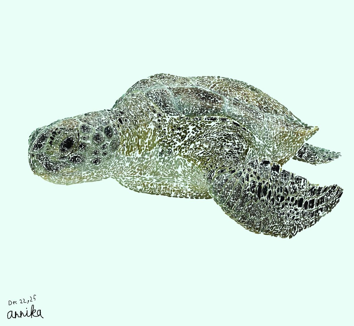 markeology's tweet image. My 12 year old just finished this drawing for her grandpa in Oceanside, who loves sea turtles. 

Annika is on the spectrum and has a very unique style of drawing: she imports a photo into Procreate on her iPad, then adds a blank layer on top of it. She then spends countless hours…