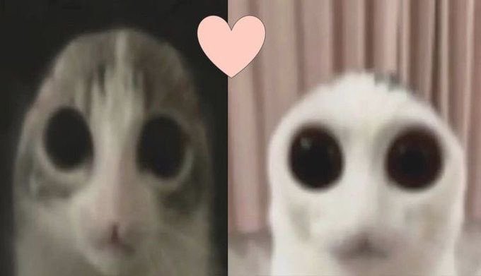 Me & Who? (@tagyourwho) on Twitter photo 