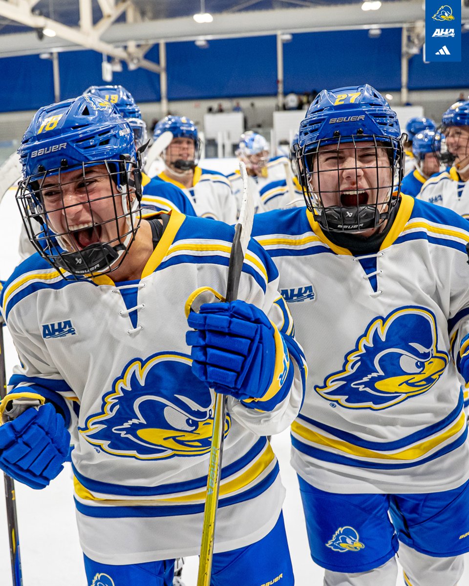 Delaware Ice Hockey tweet media